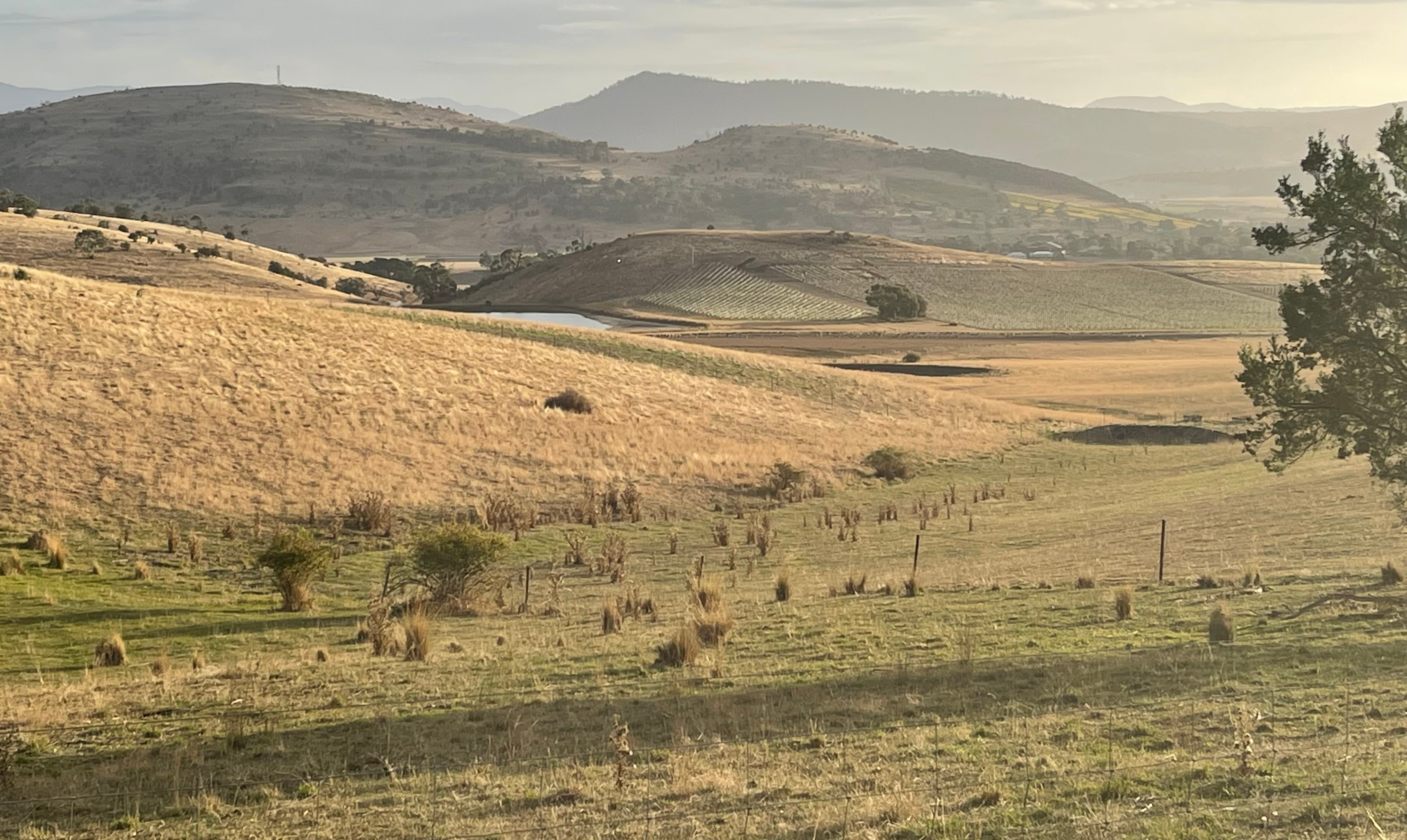 Brinktop Reserve & Richmond Park Track