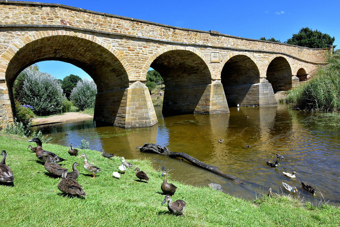 Richmond Bridge