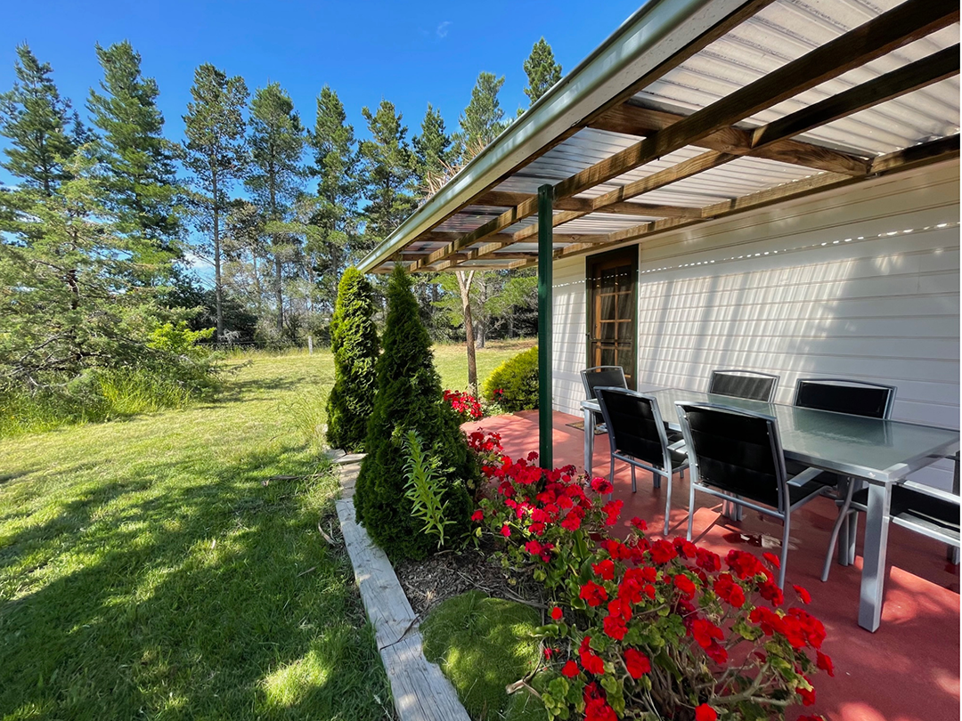 cottage backyard